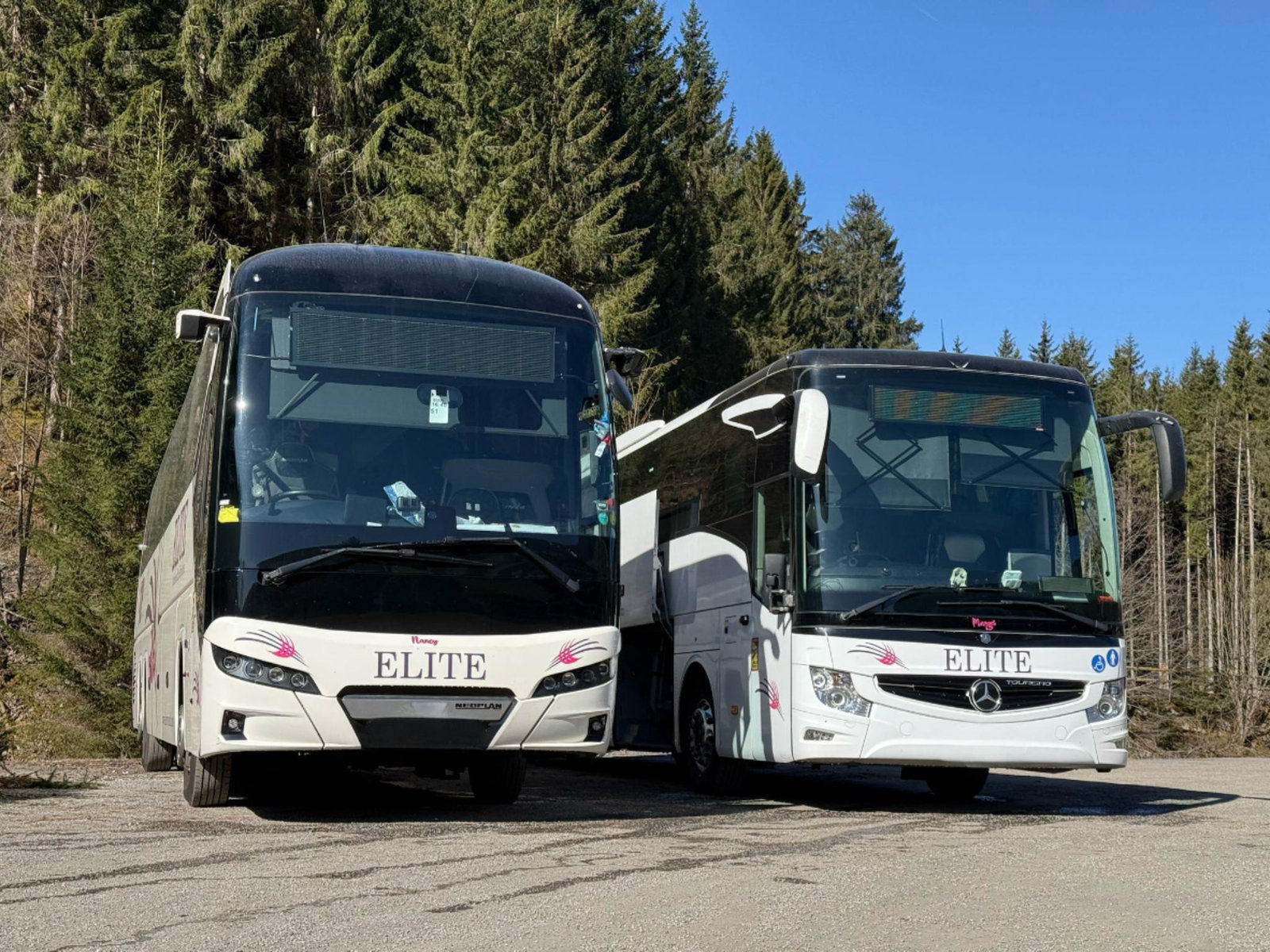 Two of our Elite coaches parked among the trees
